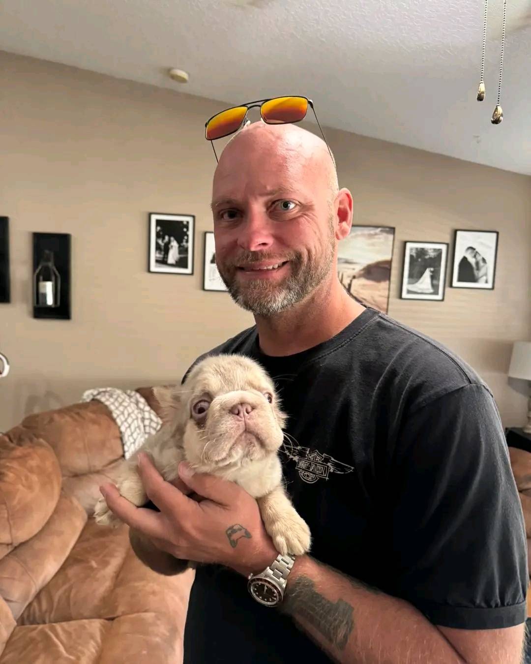 Home 542547787 122116293302959953 4264366933244556884 n