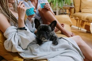 Two women enjoying a relaxed indoor moment with a French Bulldog on a sofa.